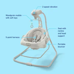 DuetConnect LX Swing and Bouncer