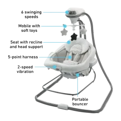 DuetConnect LX Swing and Bouncer
