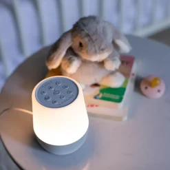 Duet White Noise & Wireless Speaker