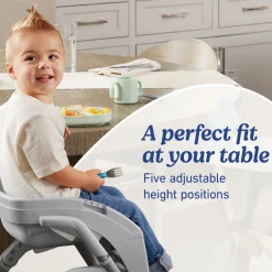 DuoDiner DLX 6-in-1 Highchair