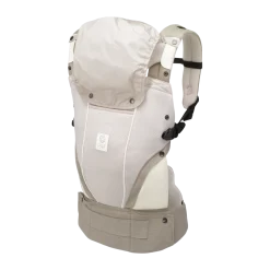 Elevate Air Carrier With Tote And Infant Pillow