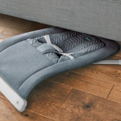 E-Motion Auto-Glider & Bouncer