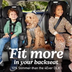 4Ever DLX Slim 4-in-1 Car Seat