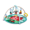 Farm Explorers Happy Harvest Touch & Feel Activity Gym