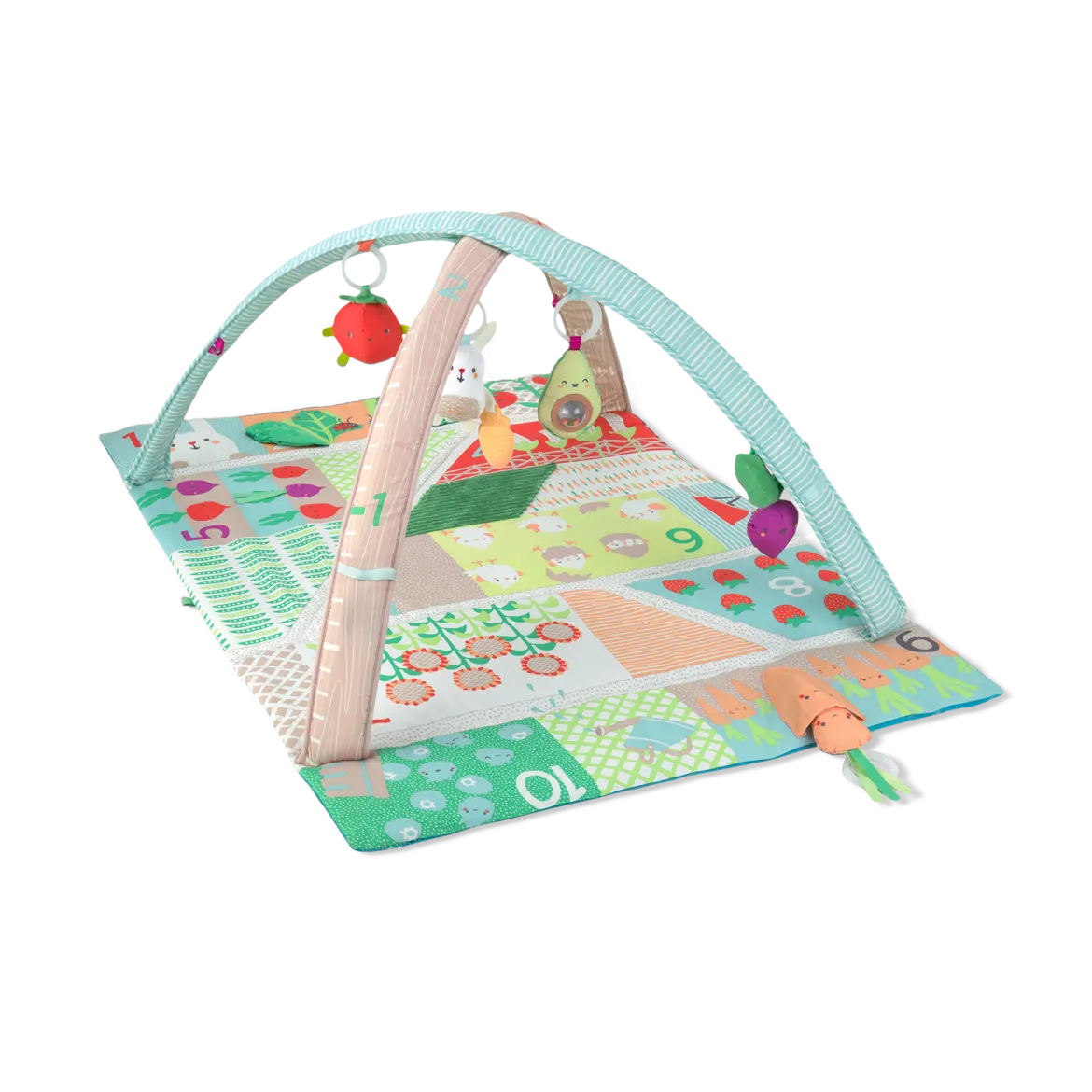 Farmstand Activity Gym