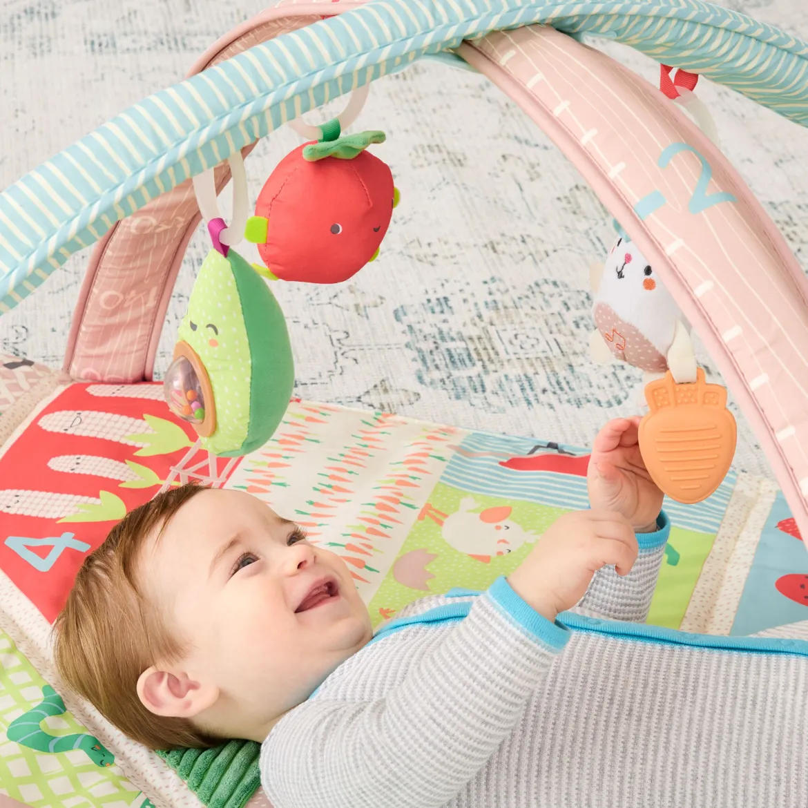 Farmstand Activity Gym