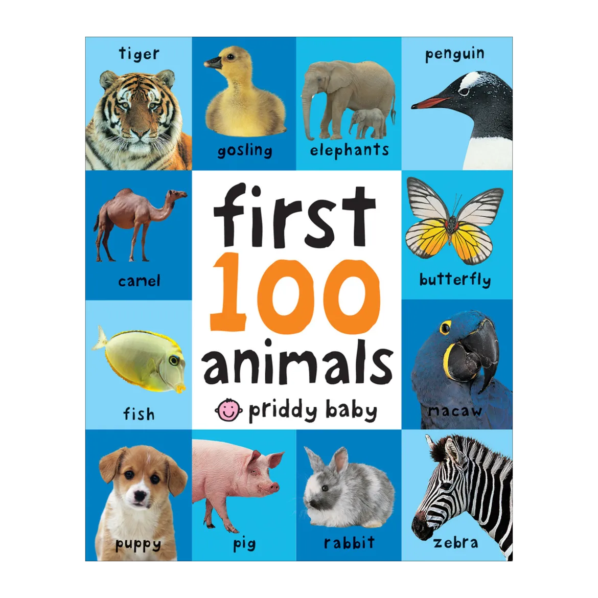 First 100 Animals