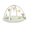 Garden Oasis Activity Gym