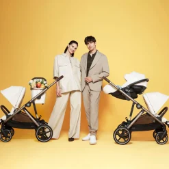 Gazelle S Stroller
