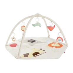 Geometric Wonders Baby Play Gym