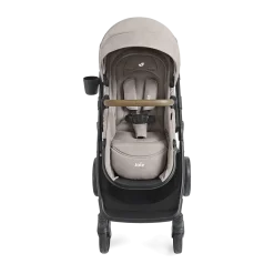 Ginger DLX And Mint Latch Travel System