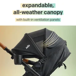 Ginger DLX And Rue Travel System