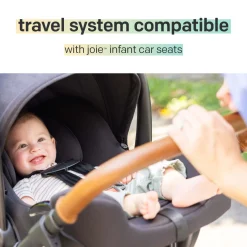 Ginger DLX And Rue Travel System