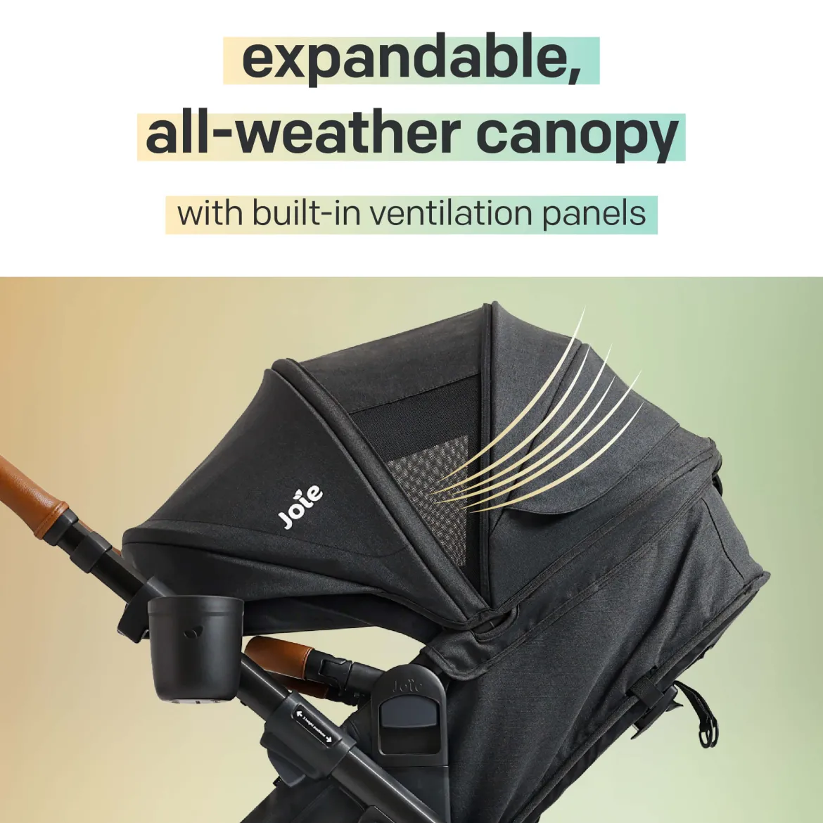 Ginger DLX Stroller