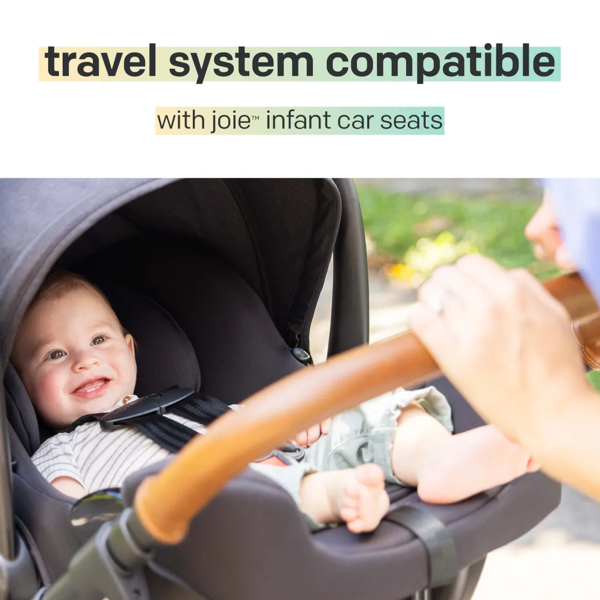 Ginger DLX Stroller