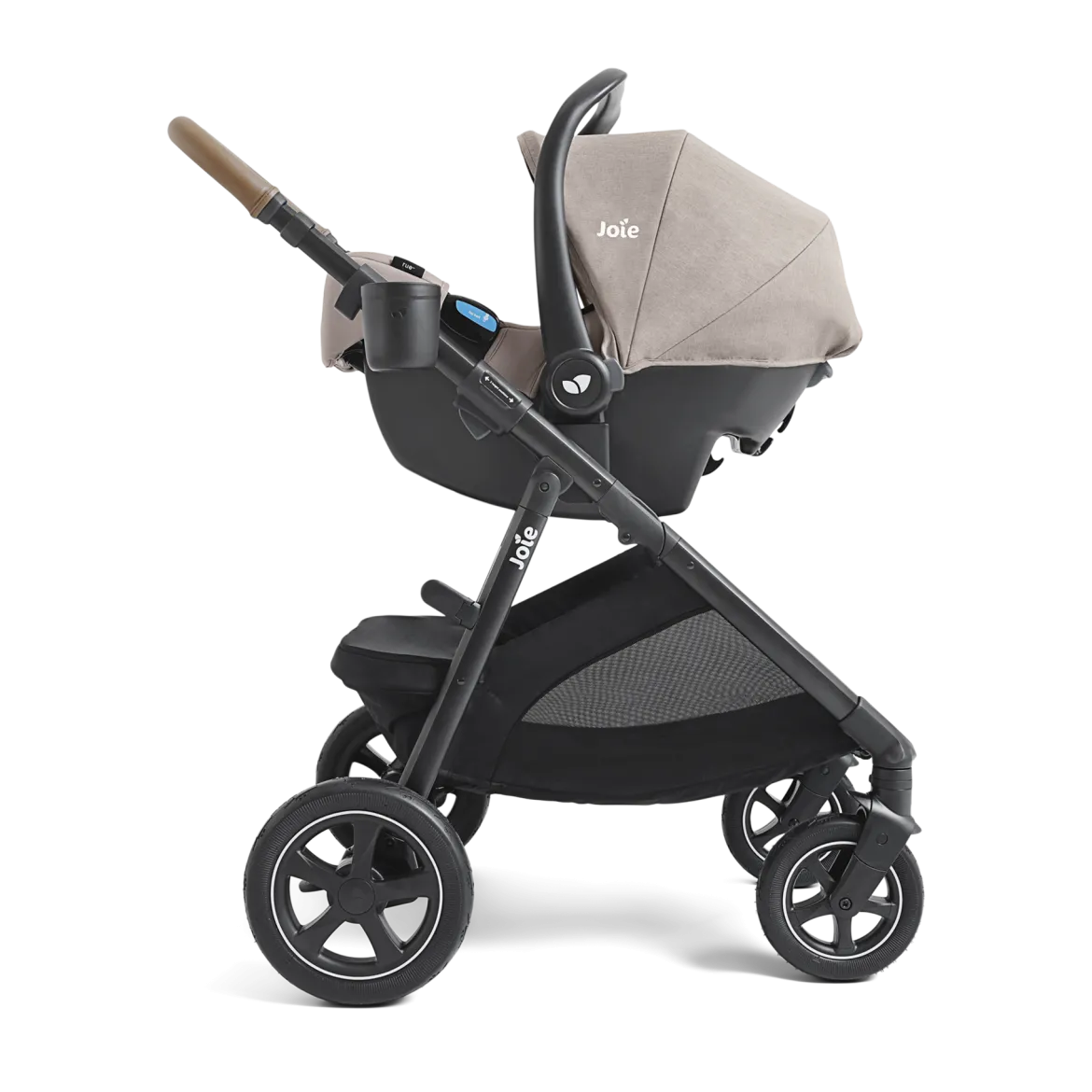 Ginger DLX Stroller