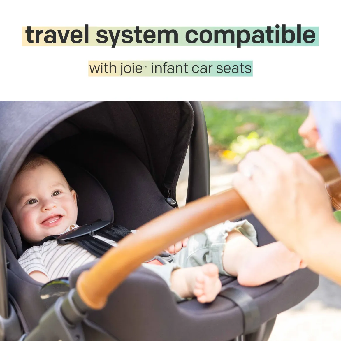 Ginger DLX Stroller