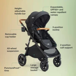 Ginger DLX Stroller