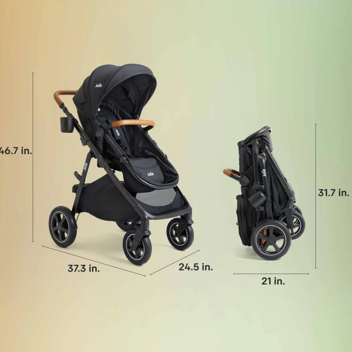Ginger DLX Stroller
