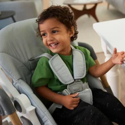 Grow & Go Plus High Chair