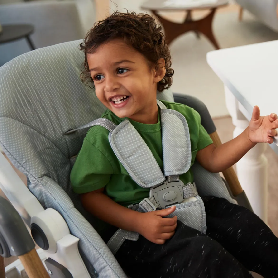 Grow & Go Plus High Chair