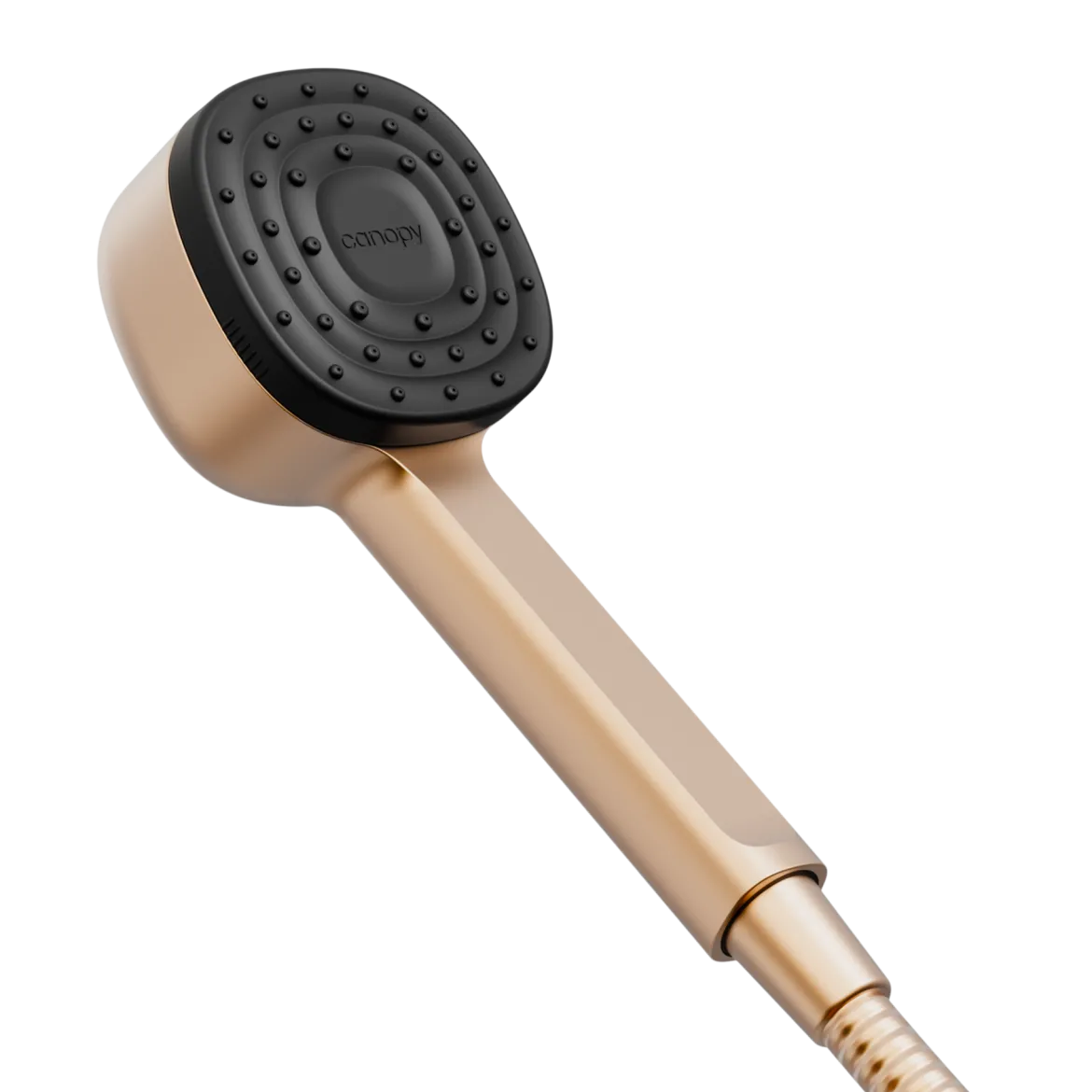Handheld Filtered Showerhead