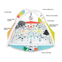Hello Baby Play Gym
