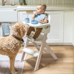 High Chair