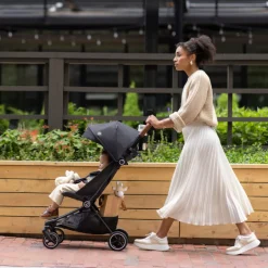 Hummingbird Carbon Fiber Lightweight Stroller