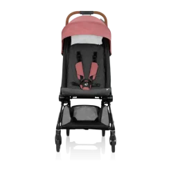 Hummingbird Carbon Fiber Lightweight Stroller