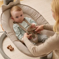 2-in-1 Electric Swing
