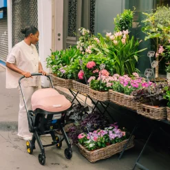 Infant Car Seat & Stroller