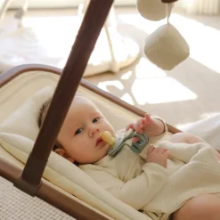 Infant Rocker