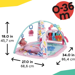 4-in-1 Kickin Tunes Music and Learning Play Gym
