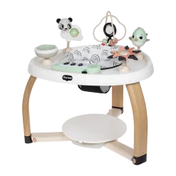 5-in-1 Stationary Activity Center