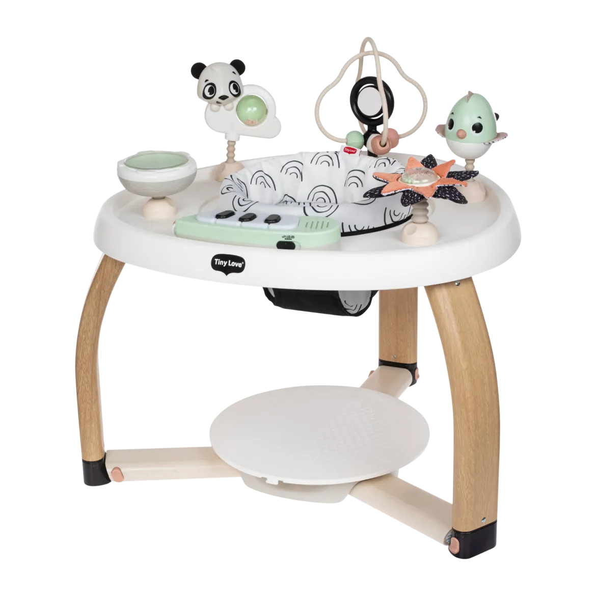 5-in-1 Stationary Activity Center