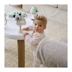 5-in-1 Stationary Activity Center