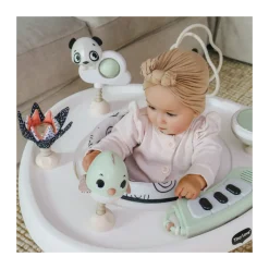 5-in-1 Stationary Activity Center