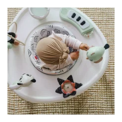 5-in-1 Stationary Activity Center