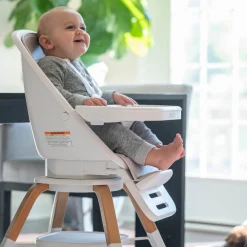2-in-1 Turn-A-Tot High Chair