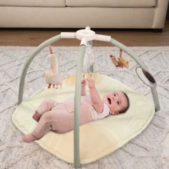4-in-1 Twist & Fold Activity Gym & Play Mat