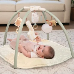 4-in-1 Twist & Fold Activity Gym & Play Mat