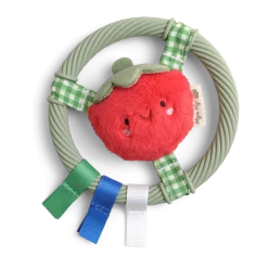 Itzy Ring Teether Pal Bear