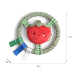 Itzy Ring Teether Pal Bear