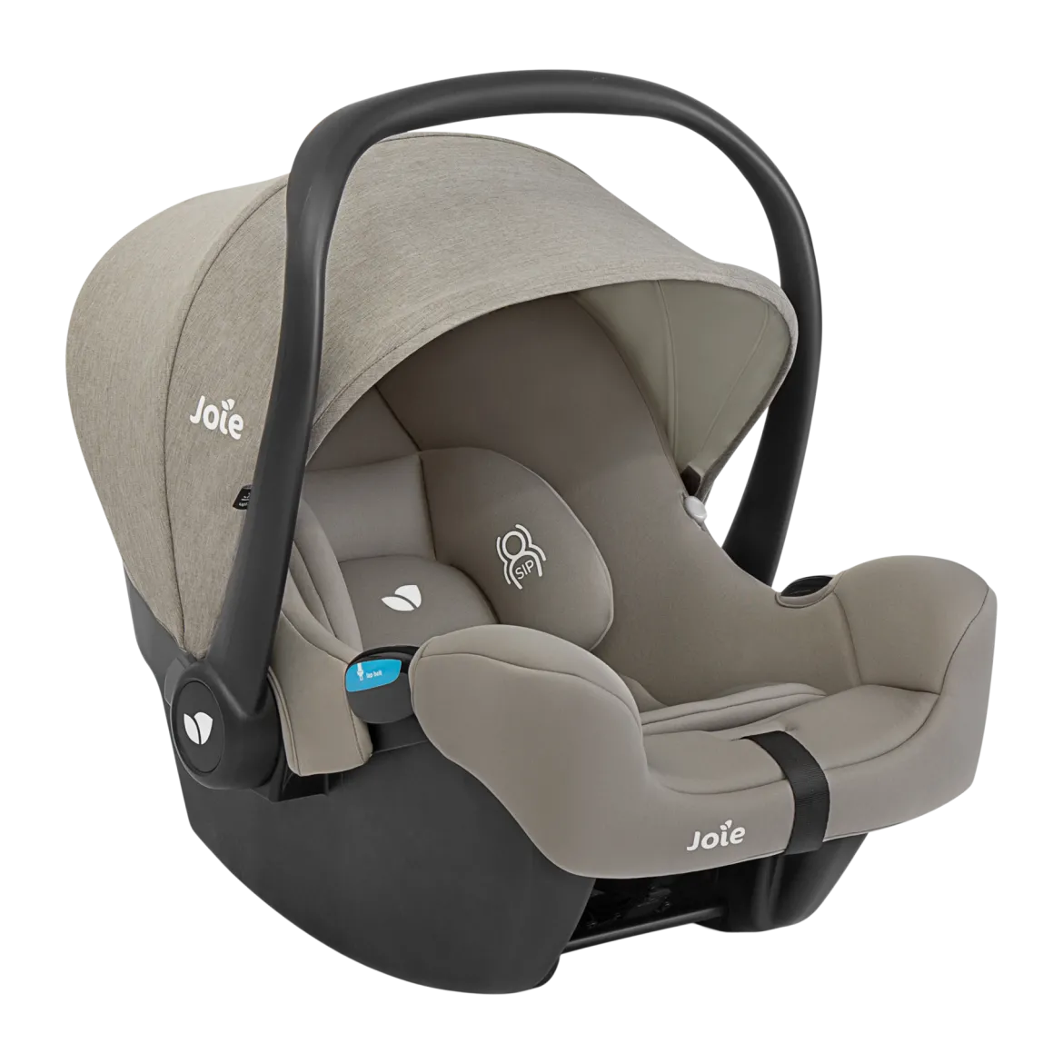 Kava And Rue Travel System