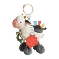 Link & Love Activity Toy