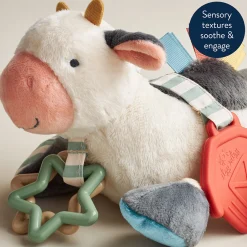 Link & Love Activity Toy
