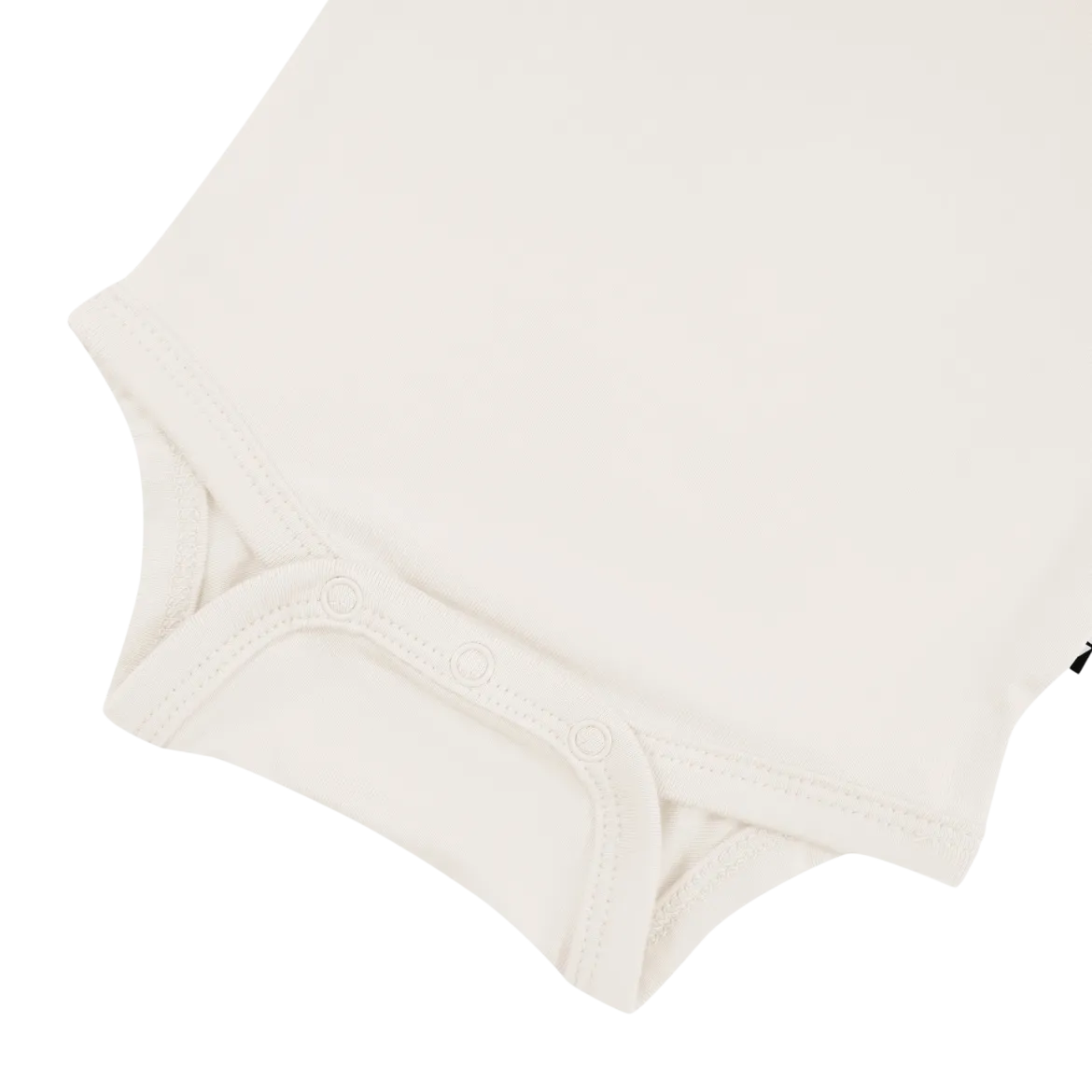 Long Sleeve Bodysuit