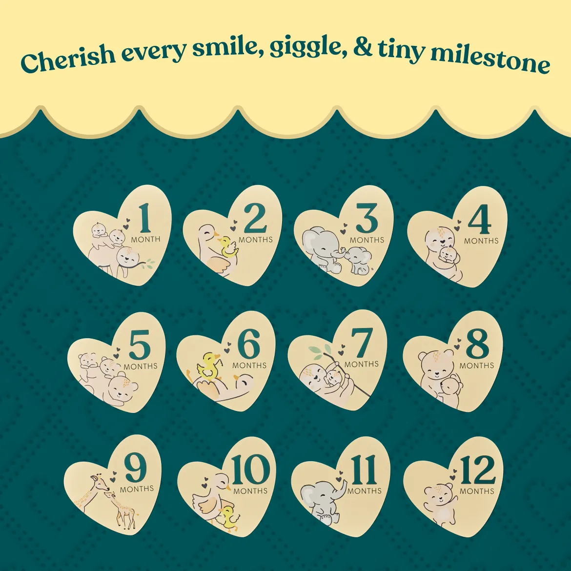Milestone Memories Gift Set