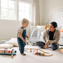 Mira 2-in-1 Bouncer and Seat